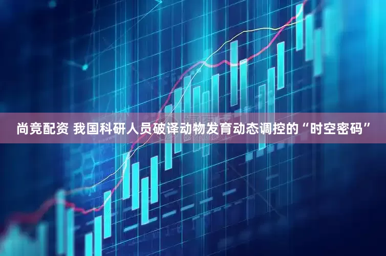 尚竞配资 我国科研人员破译动物发育动态调控的“时空密码”