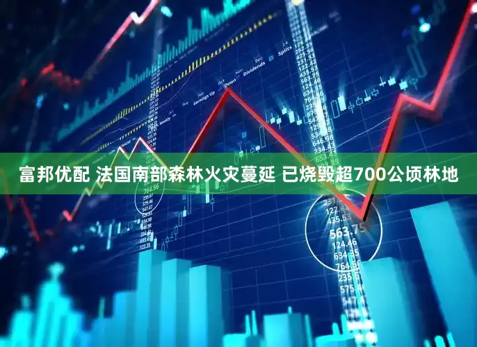 富邦优配 法国南部森林火灾蔓延 已烧毁超700公顷林地