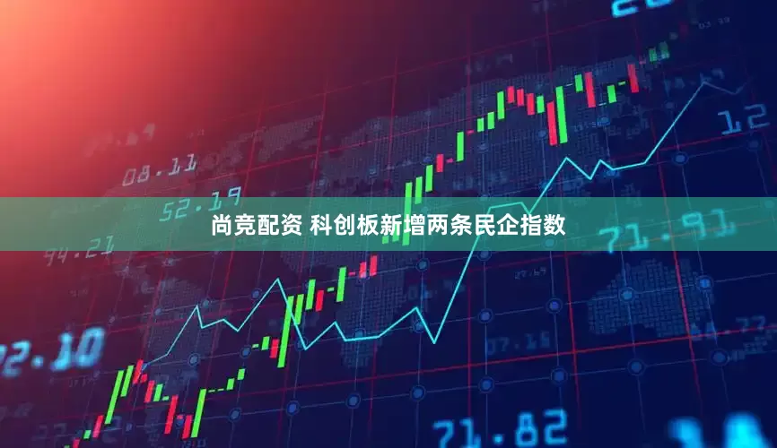 尚竞配资 科创板新增两条民企指数