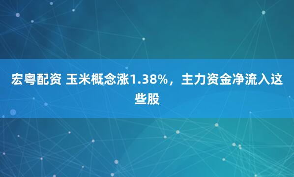 宏粤配资 玉米概念涨1.38%，主力资金净流入这些股